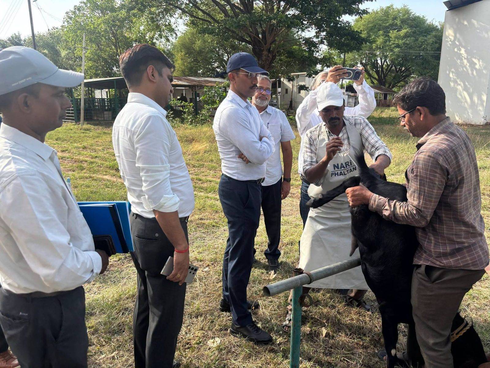 Livestock Field Inspection